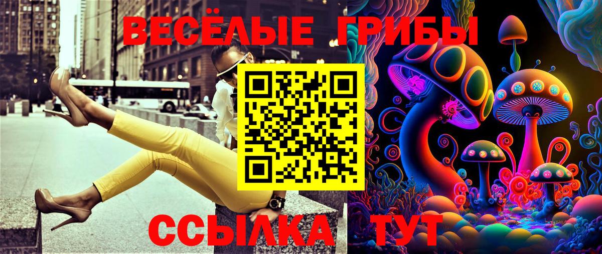 Щёлково  Галлюциногенные грибы MAGIC MUSHROOMS  Вход с VPN 