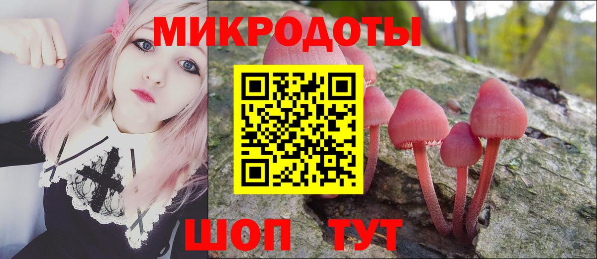 Галлюциногенные грибы мухоморы Щёлково